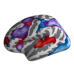 ../_images/sphx_glr_plot_fmri_conjunction_thumb.png