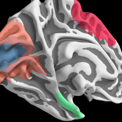 ../_images/sphx_glr_plot_label_thumb.png