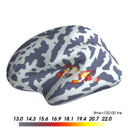 ../_images/sphx_glr_plot_meg_inverse_solution_thumb.png