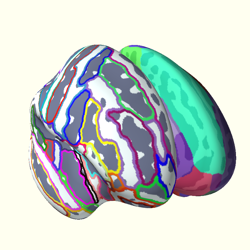 ../_images/sphx_glr_plot_parcellation_thumb.png