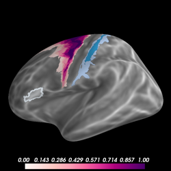 ../_images/sphx_glr_plot_probabilistic_label_thumb.png